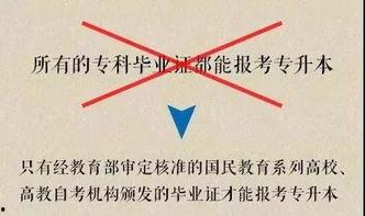 成人教育意义视频讲解