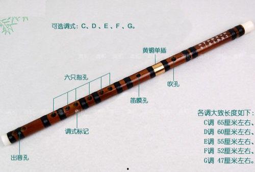 成人笛子专卖8孔视频,揭秘成人笛子专卖8孔魅力