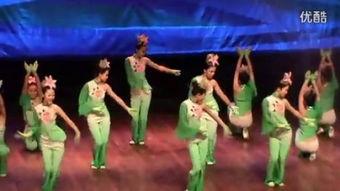 成人藏族舞蹈男生视频,男子藏族舞蹈风采展示