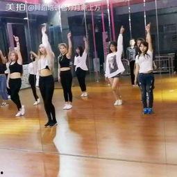 青年成人舞蹈视频大全教学