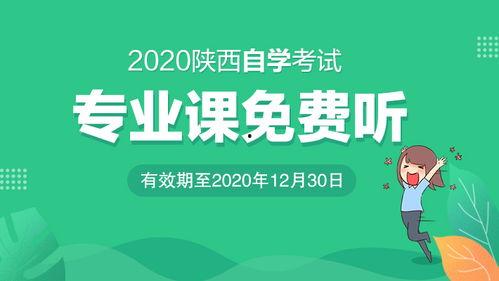 成人高考网上视频,轻松掌握学习技巧，高效备考攻略
