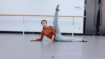 成人伤感舞蹈教学视频,成人伤感舞蹈教学视频深度解析