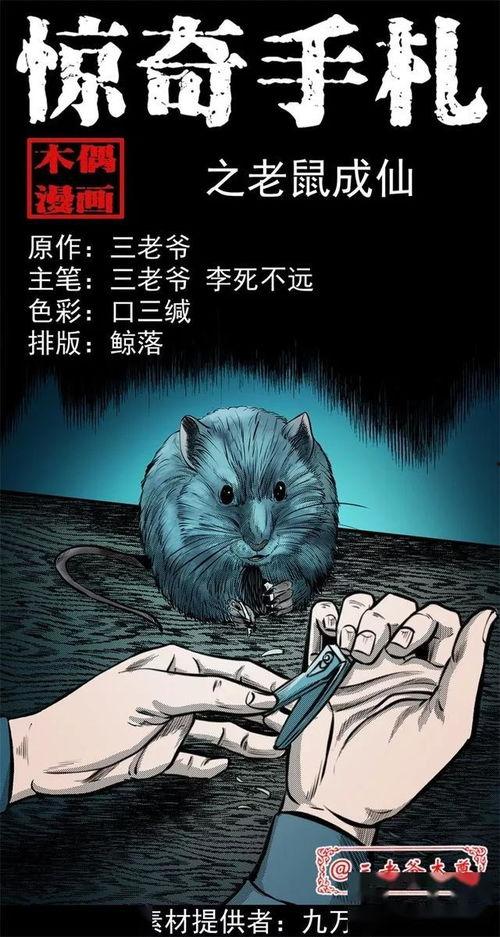 老鼠成人幻化视频,老鼠成人奇幻之旅揭秘