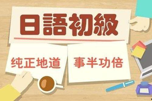 成人英语机构宣传短视频,短视频中的高效学习秘籍