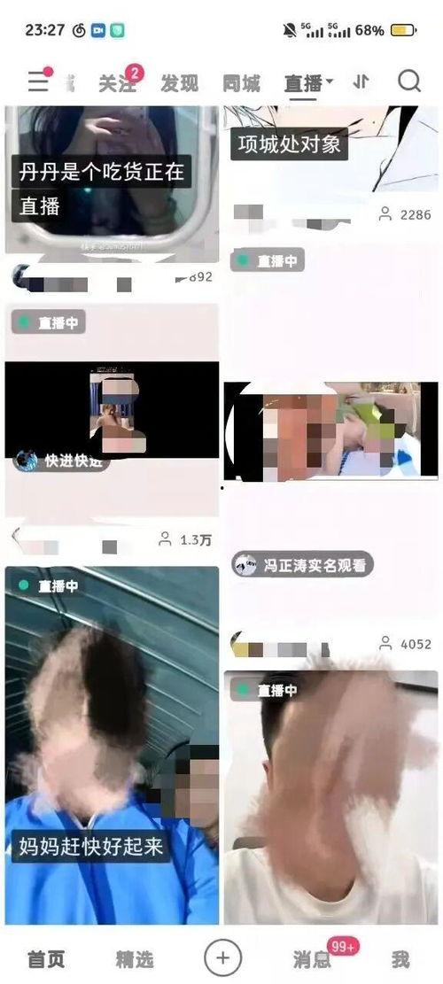 成人短视频网站,内容、影响与监管探讨