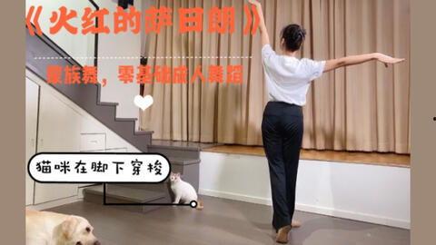 简单整齐成人舞视频教学,轻松学会优雅舞步