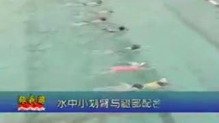 游泳视频教学初学成人,游泳初学者的蜕变之旅